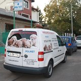 Polivet-clinica veterinara